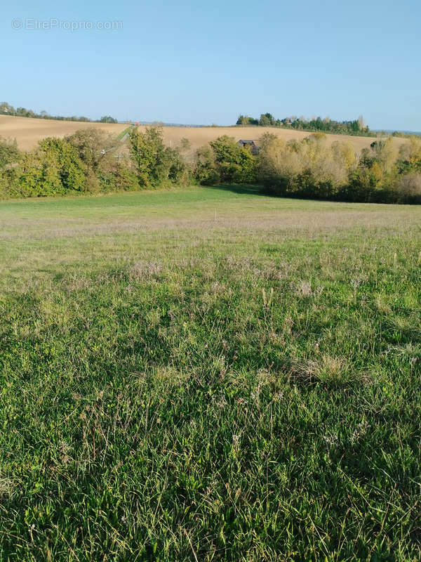 Terrain à CAUSSADE