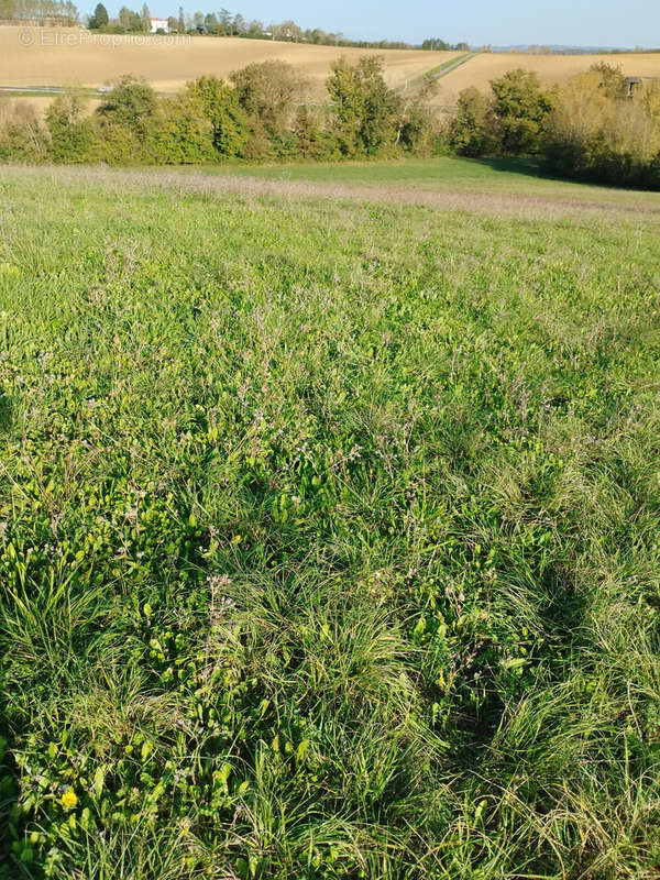 Terrain à CAUSSADE