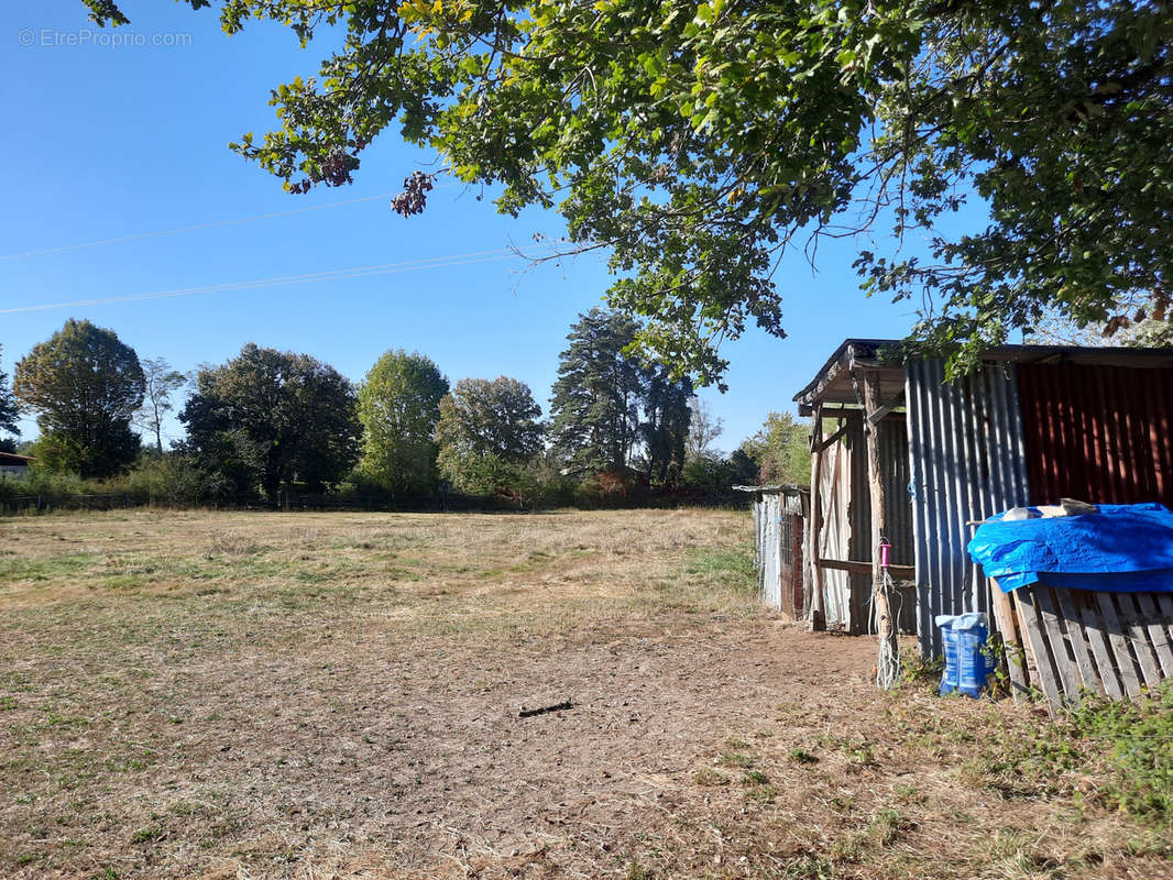 Terrain à ORLEAT