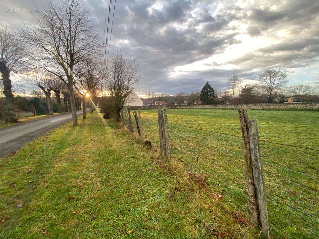 Terrain à EBREUIL