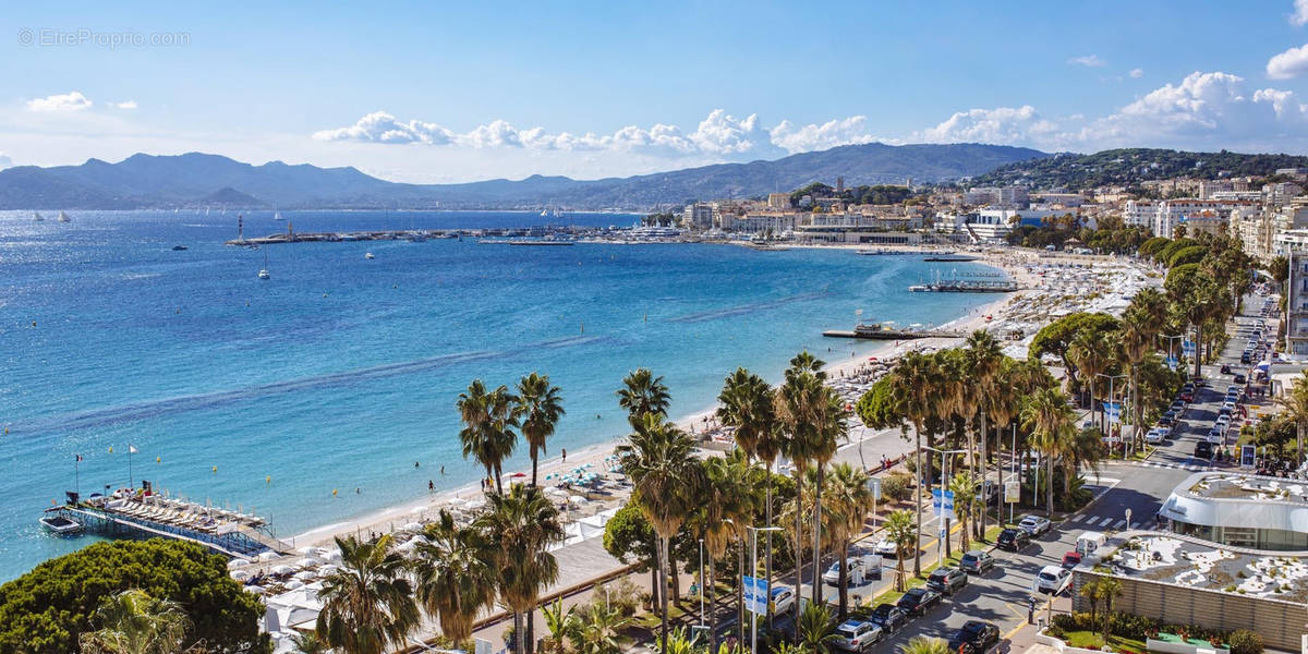 Commerce à CANNES