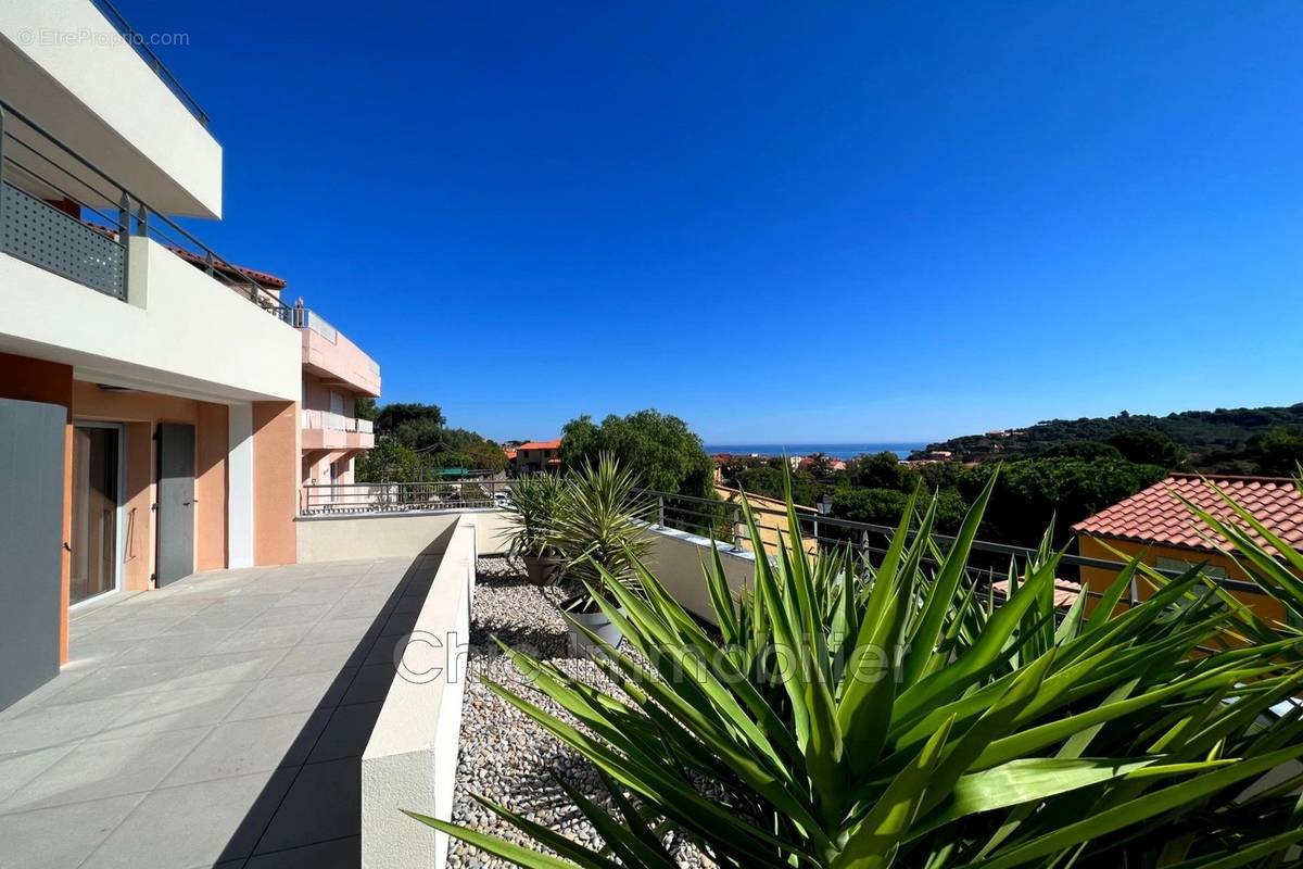 Appartement à COLLIOURE