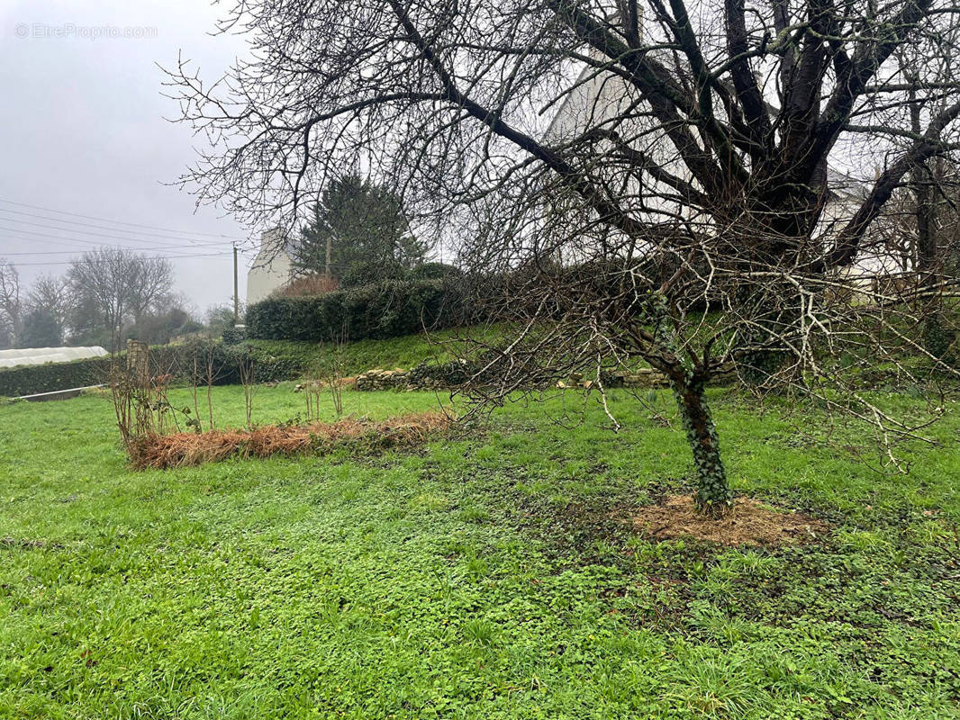 Terrain à DOUARNENEZ