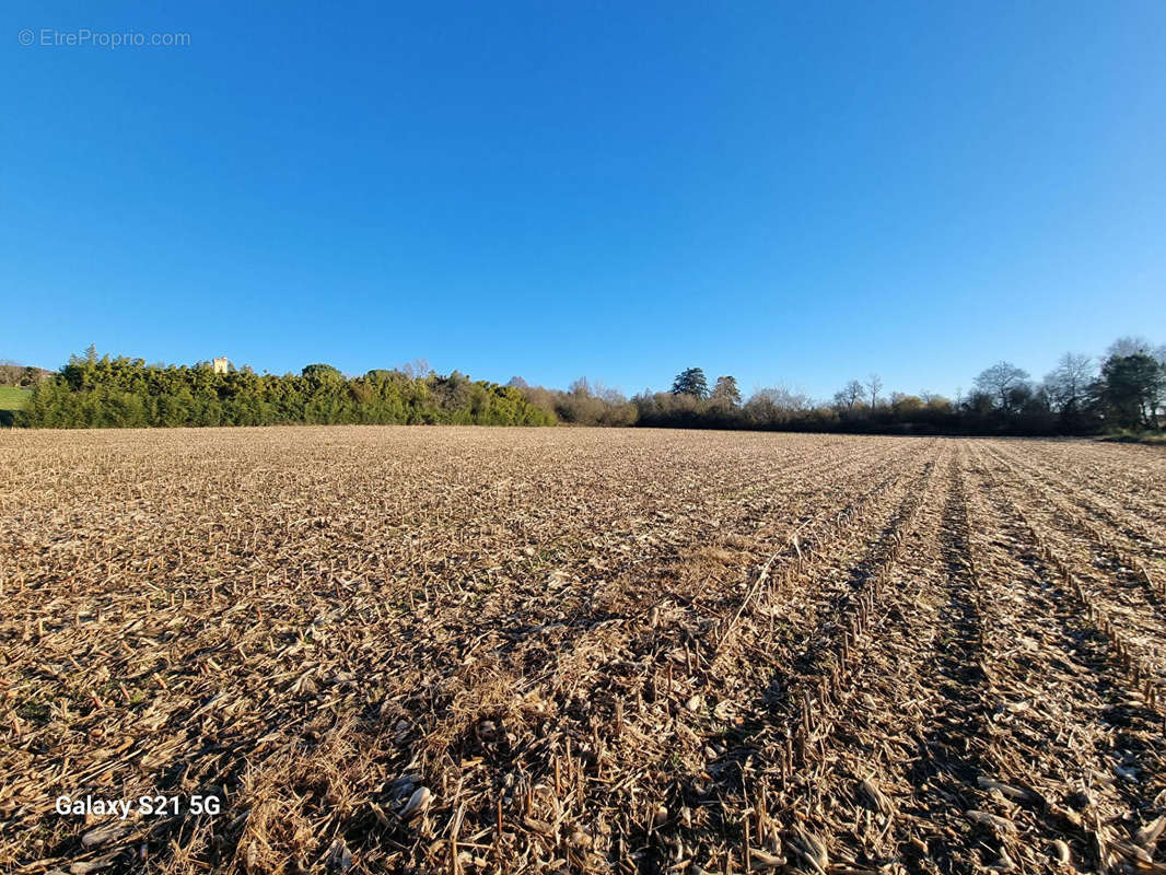 Terrain à MONTAUT