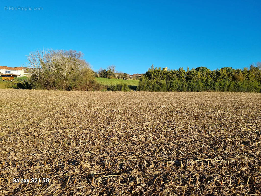 Terrain à MONTAUT