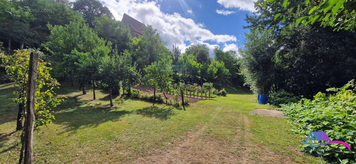 Jardin - Maison à CHATEAUMEILLANT