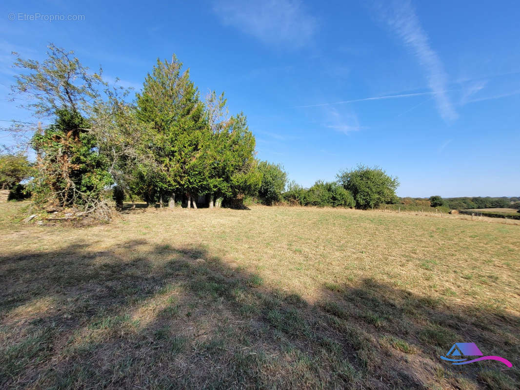 Terrain - Maison à SAINT-SATURNIN