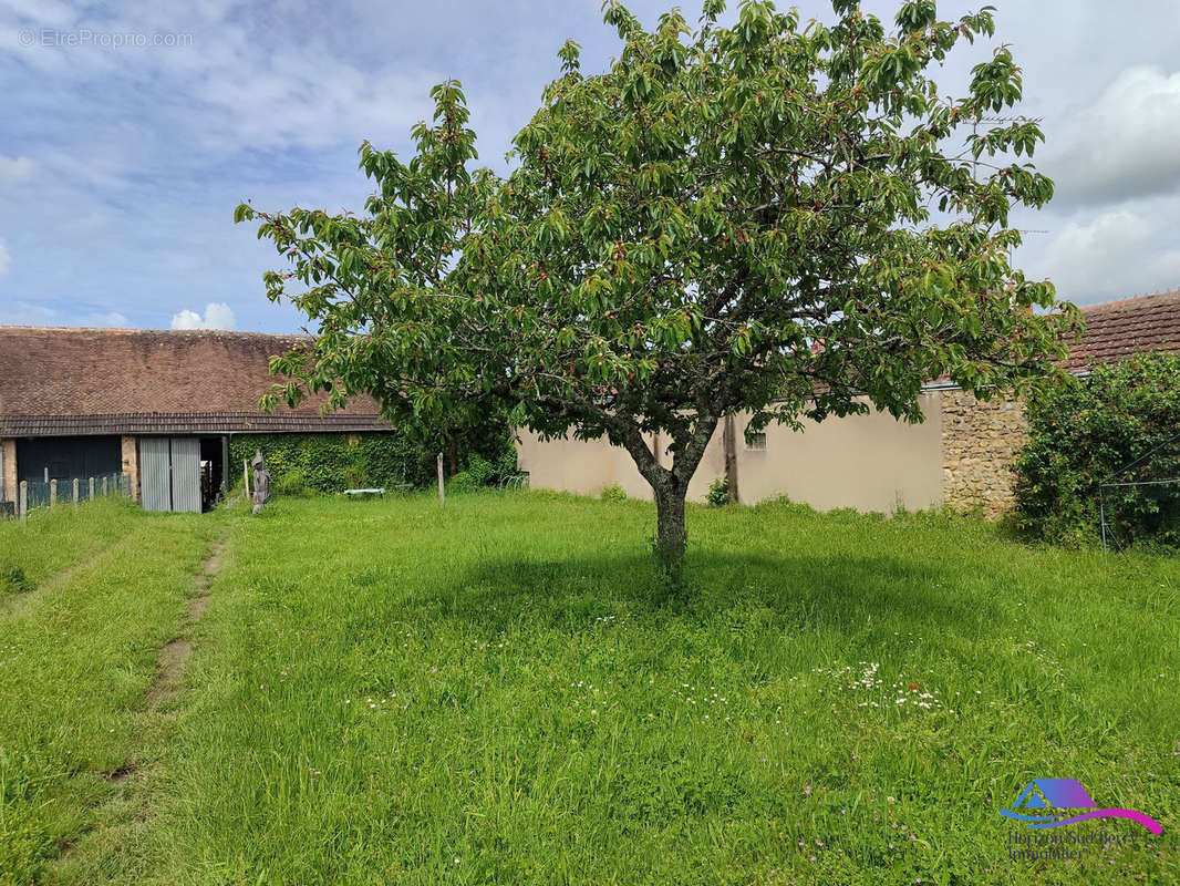 Jardin - Maison à CHATEAUMEILLANT