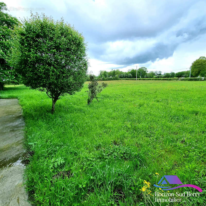 jardin - Maison à SAINTE-SEVERE-SUR-INDRE