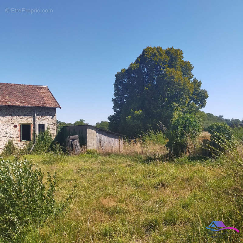 jardin  - Maison à PERASSAY