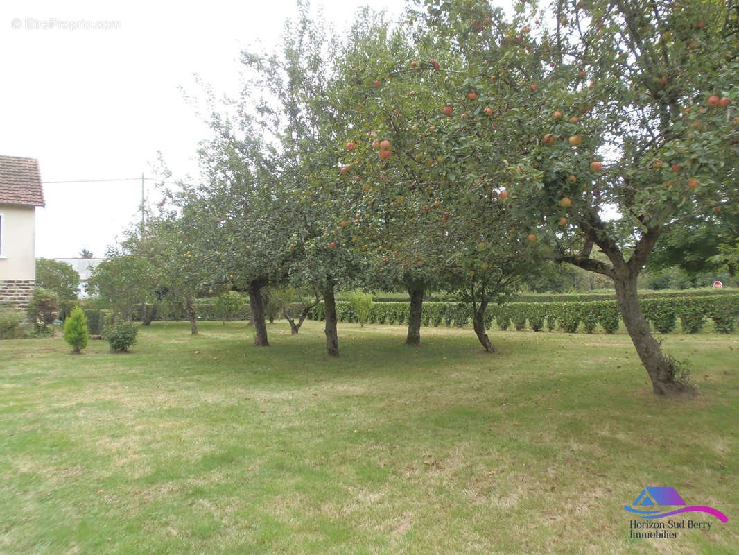 jardin - Maison à SAINTE-SEVERE-SUR-INDRE