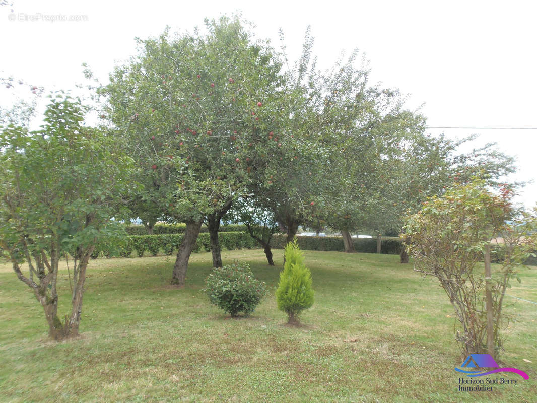 jardin - Maison à SAINTE-SEVERE-SUR-INDRE