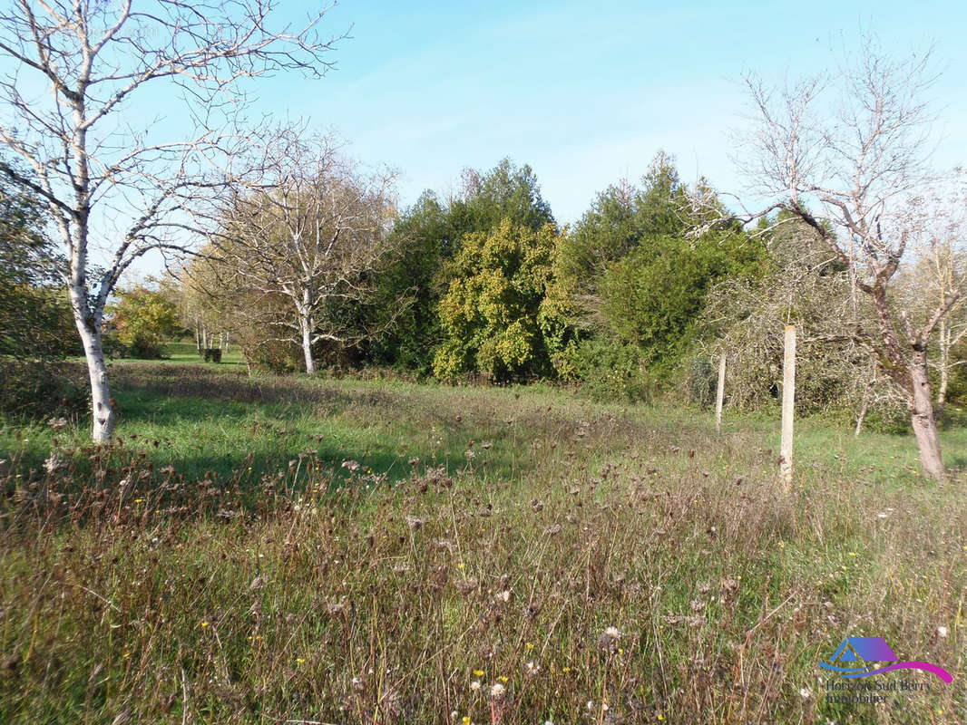 jardin - Maison à LACS