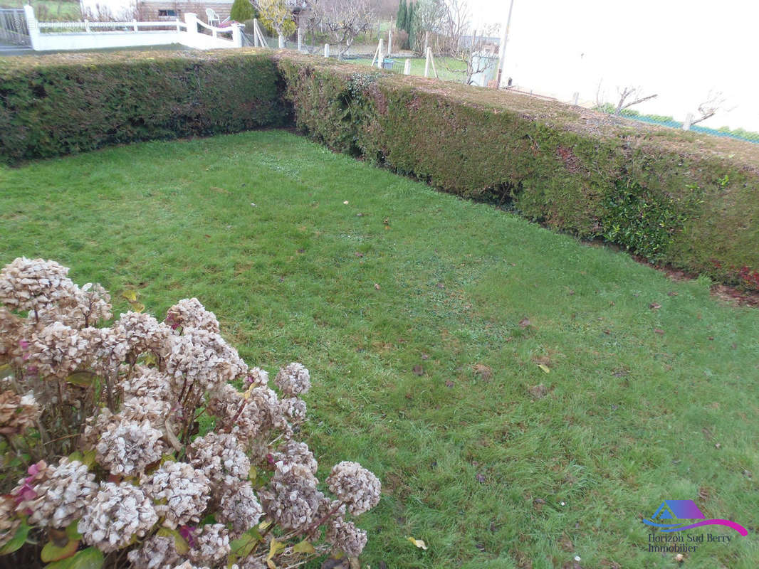 jardin coté - Maison à SAINTE-SEVERE-SUR-INDRE