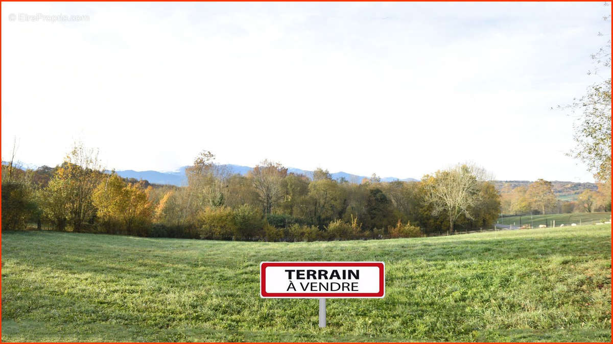 Terrain à GAN