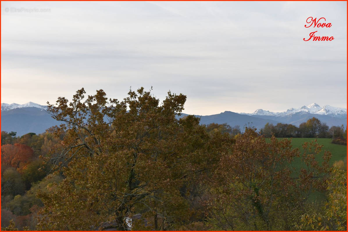 Terrain à GAN