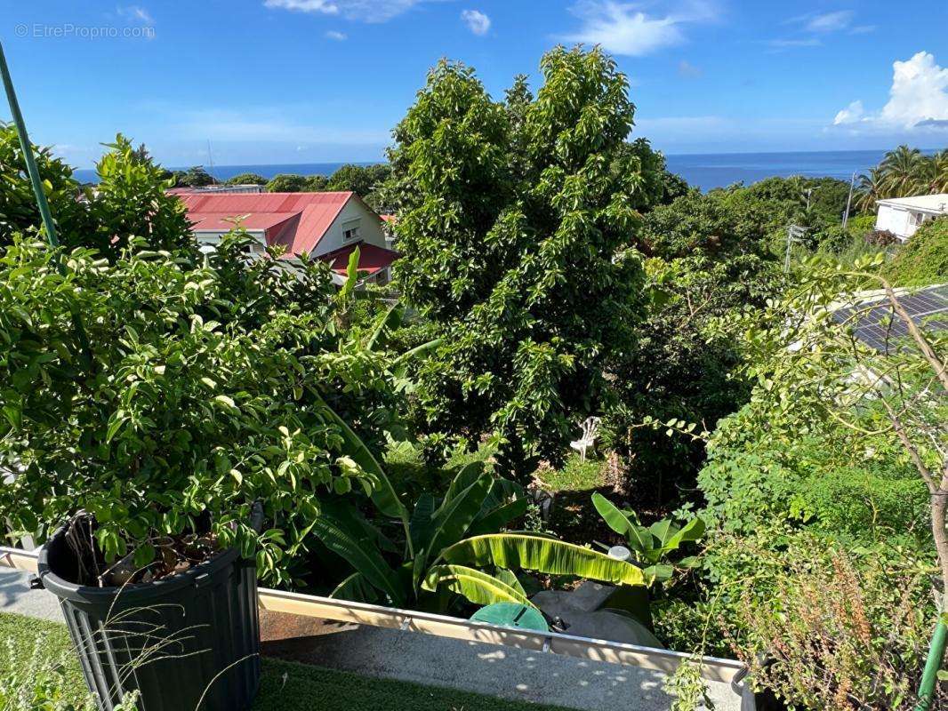 Appartement à BASSE-TERRE