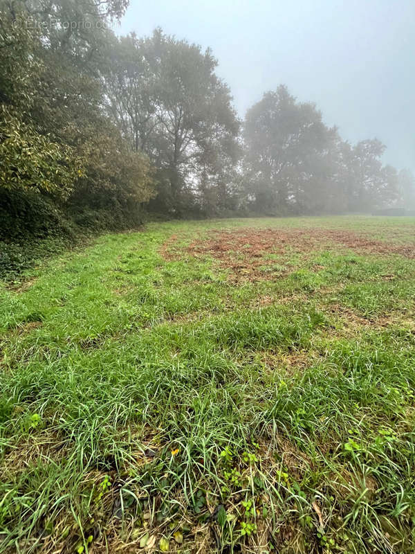 Terrain à REDON