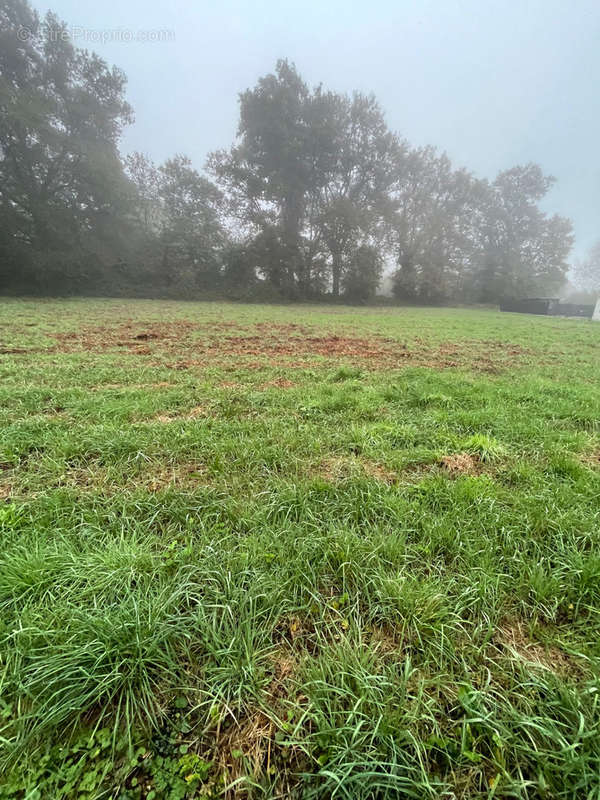 Terrain à REDON