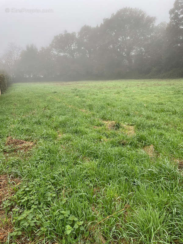 Terrain à REDON