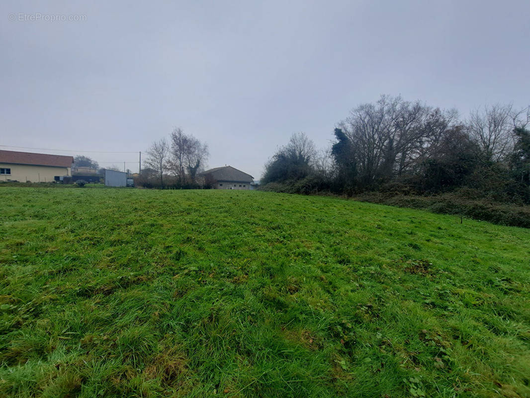 Terrain à MONTREVEL-EN-BRESSE