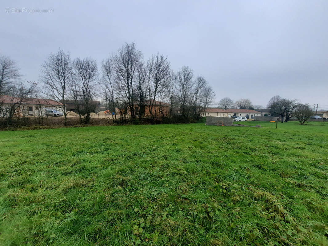 Terrain à MONTREVEL-EN-BRESSE