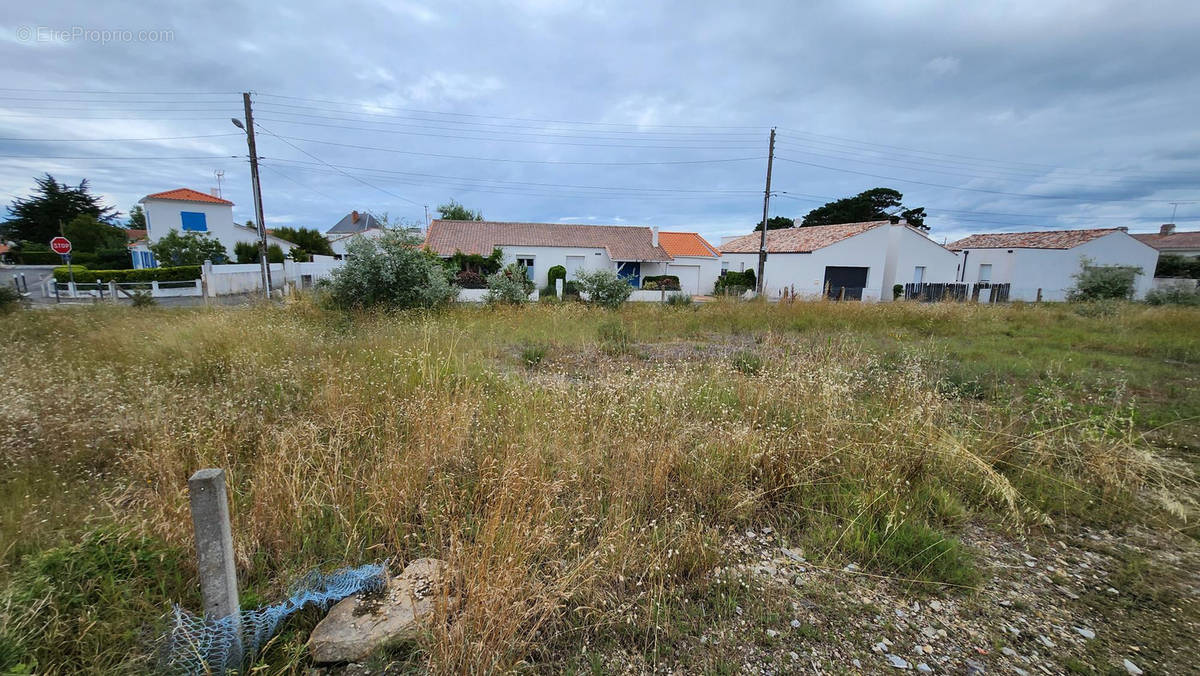 Terrain à SAINT-HILAIRE-DE-RIEZ