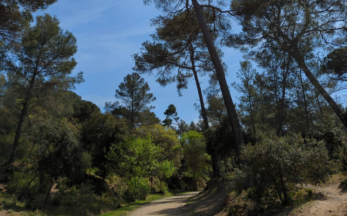 Terrain à CLAPIERS