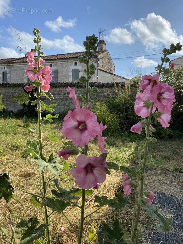 Maison à CHATEAUNEUF-SUR-CHARENTE