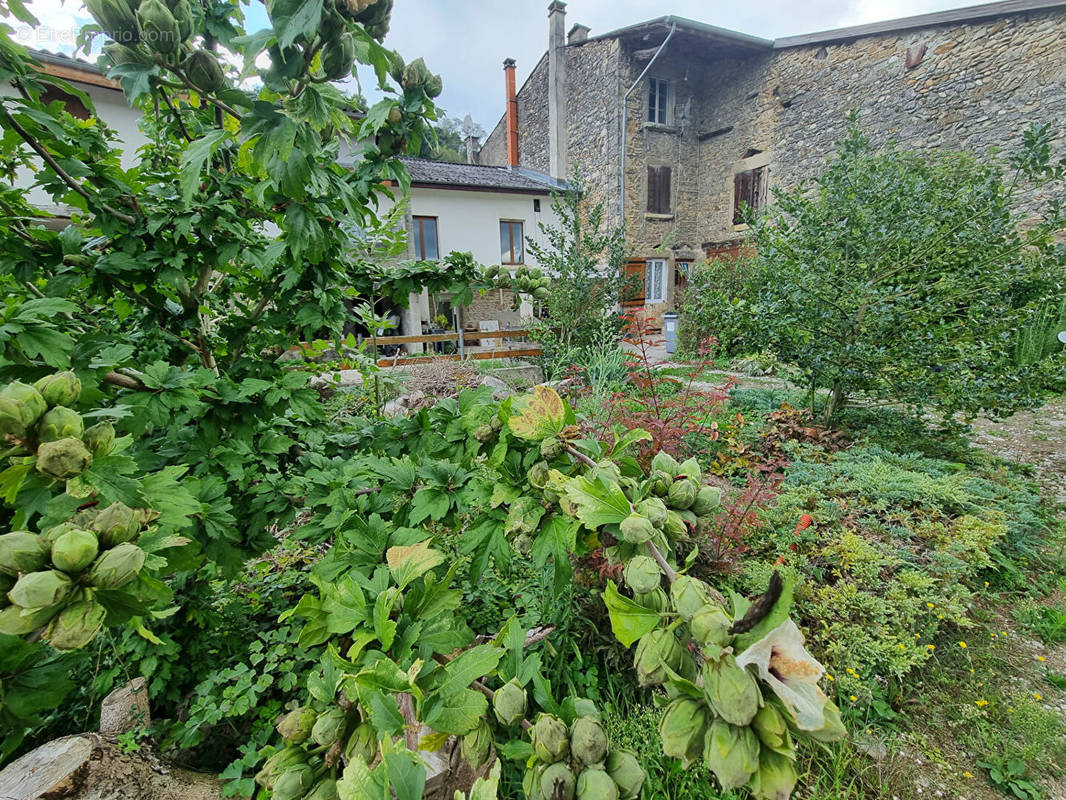 Maison à AMBERIEU-EN-BUGEY