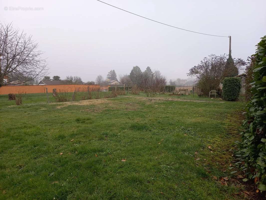 Terrain à SAINT-DIDIER-SUR-CHALARONNE