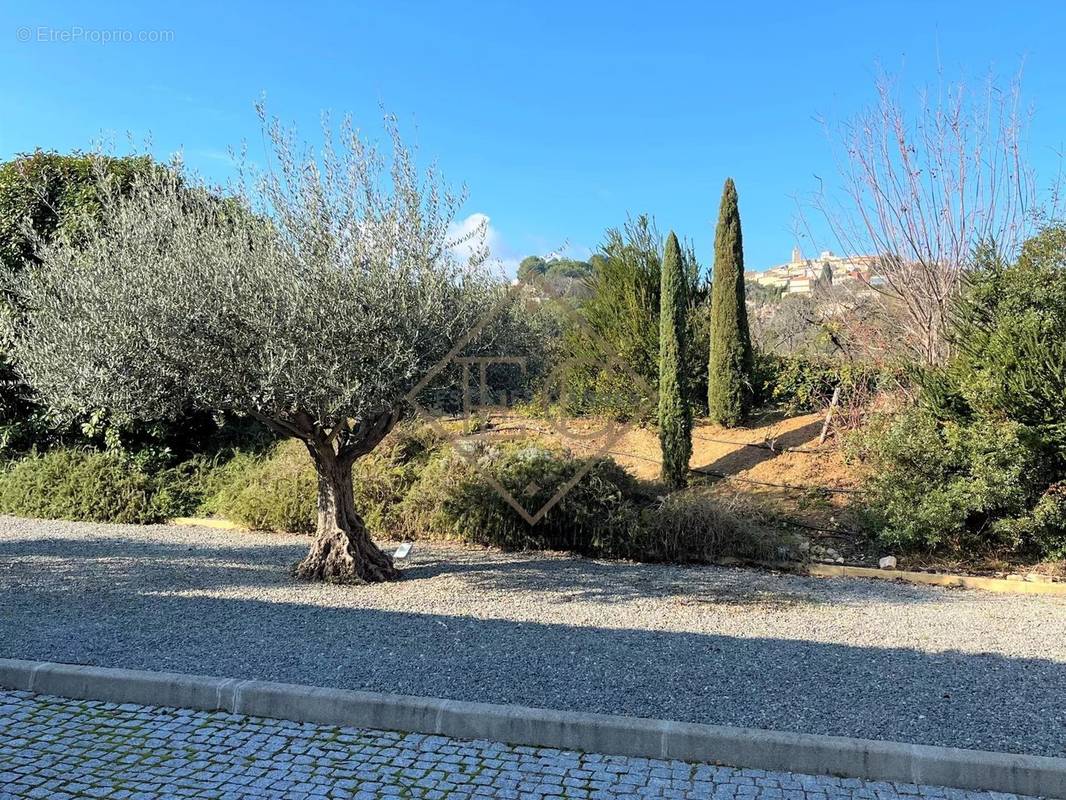 Terrain à MOUGINS