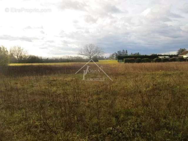 Terrain à BOUCE