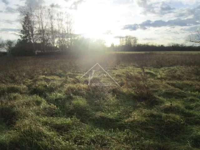 Terrain à BOUCE