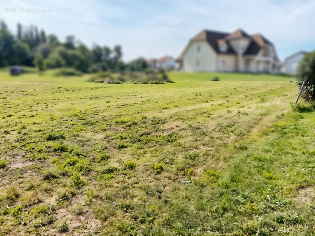 Terrain à SAINT-SAUVEUR