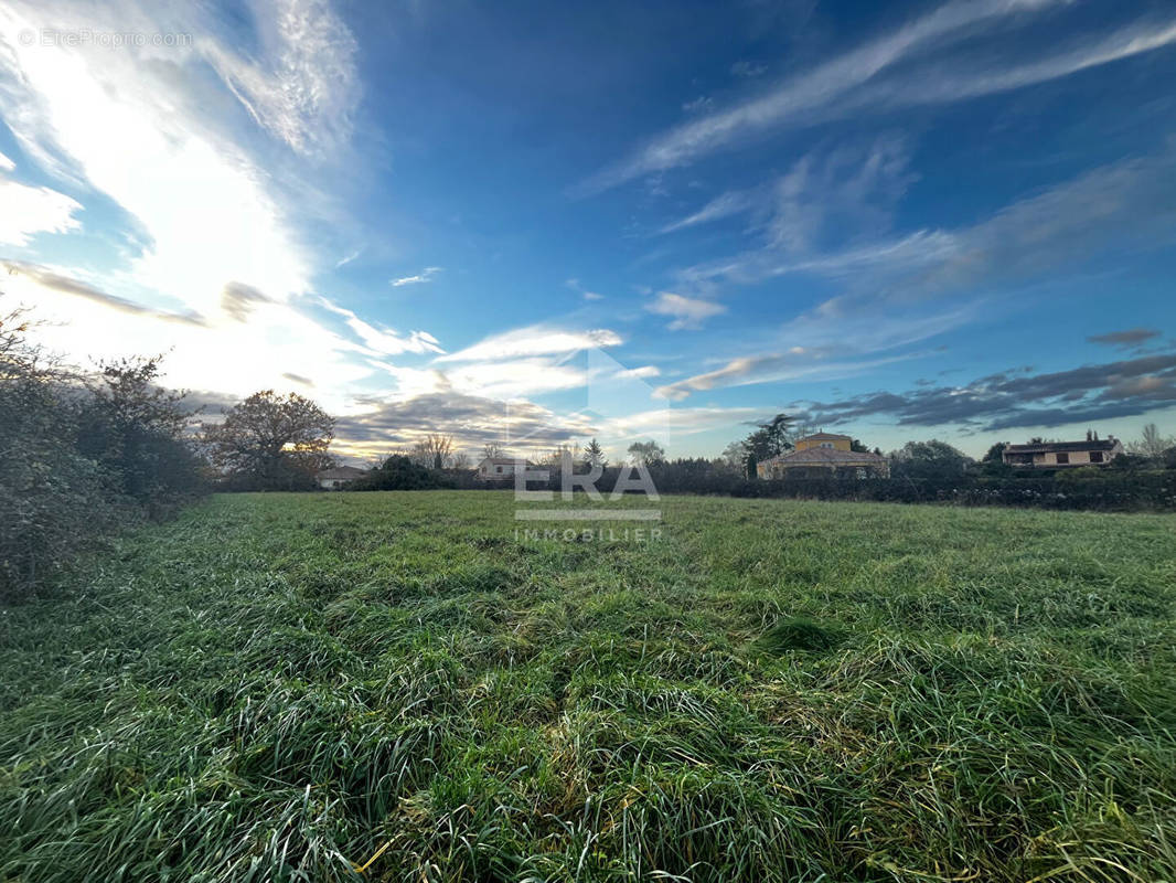 Terrain à GAILLAC