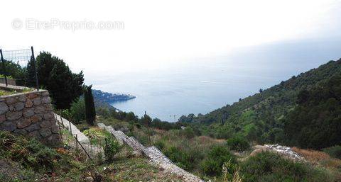 Terrain à EZE