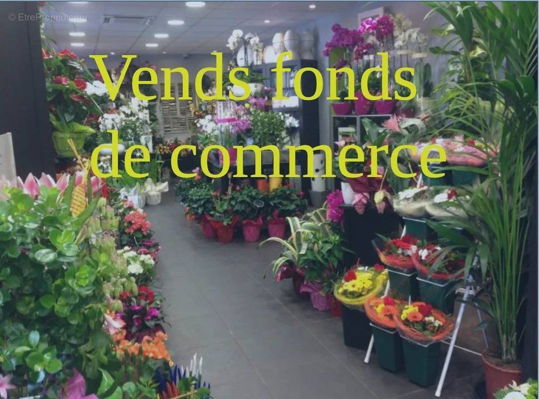 Commerce à VIERZON