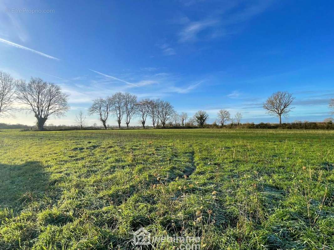 ... sur parcelle de 36500 m². - Maison à VERN-D&#039;ANJOU