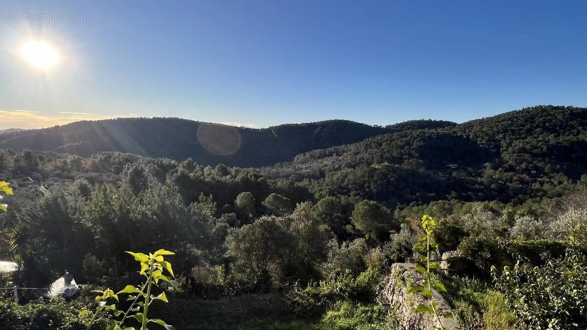 Terrain à CLAVIERS