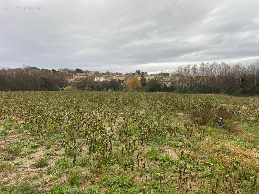 Terrain à LES GRANGES-GONTARDES