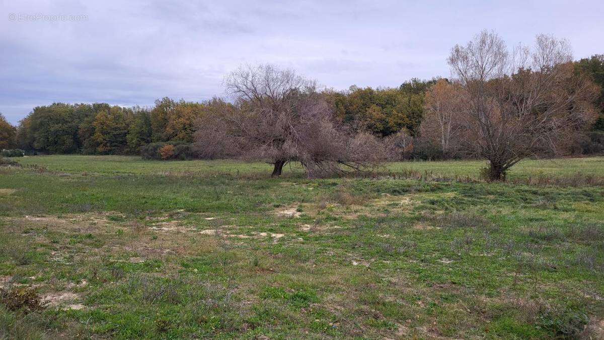 Terrain à MALATAVERNE