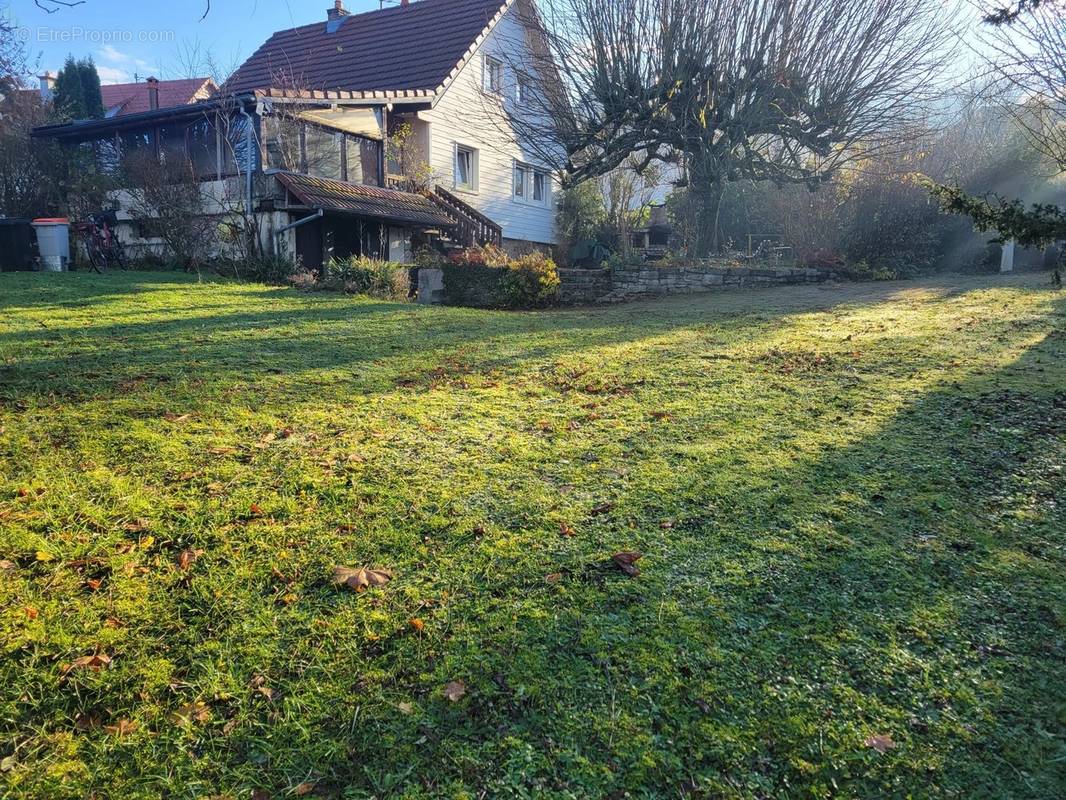 Maison à MONTBELIARD