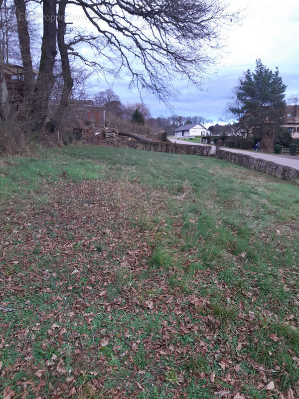 Terrain à NAYEMONT-LES-FOSSES