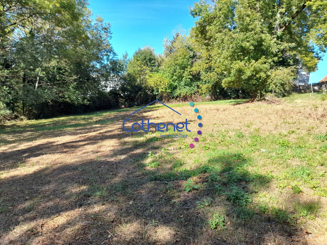 Terrain à BELMONT-DE-LA-LOIRE