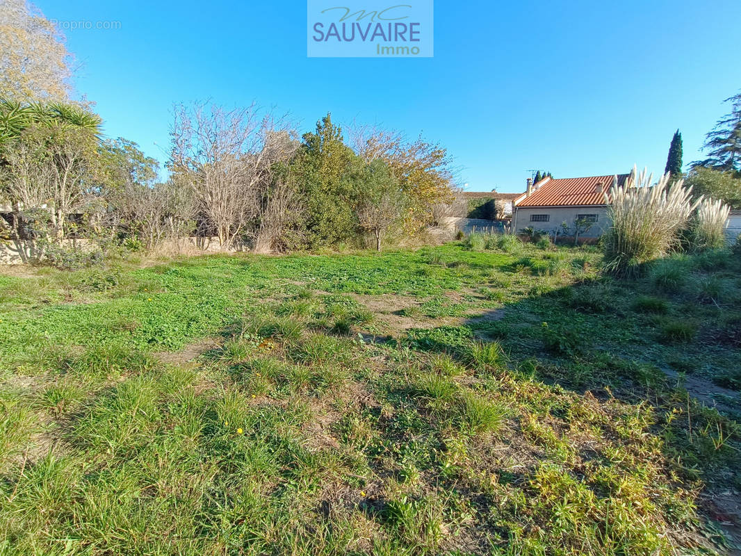 Terrain à SAINT-LAURENT-DE-LA-SALANQUE