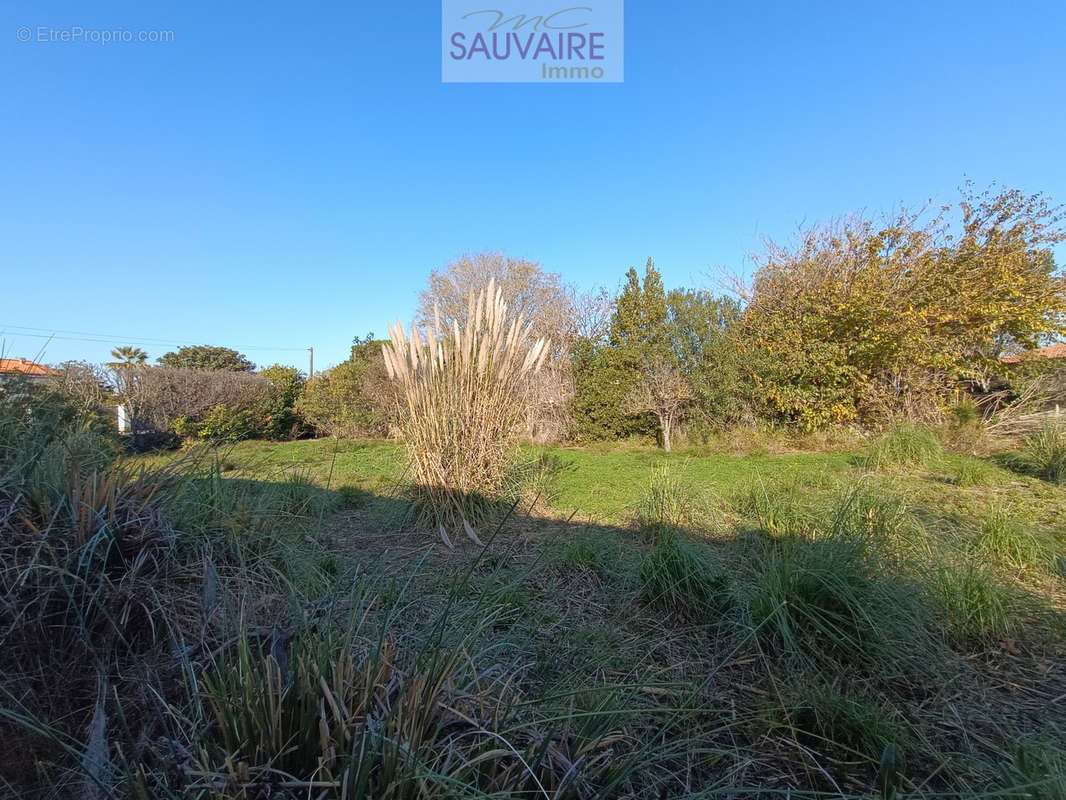 Terrain à SAINT-LAURENT-DE-LA-SALANQUE