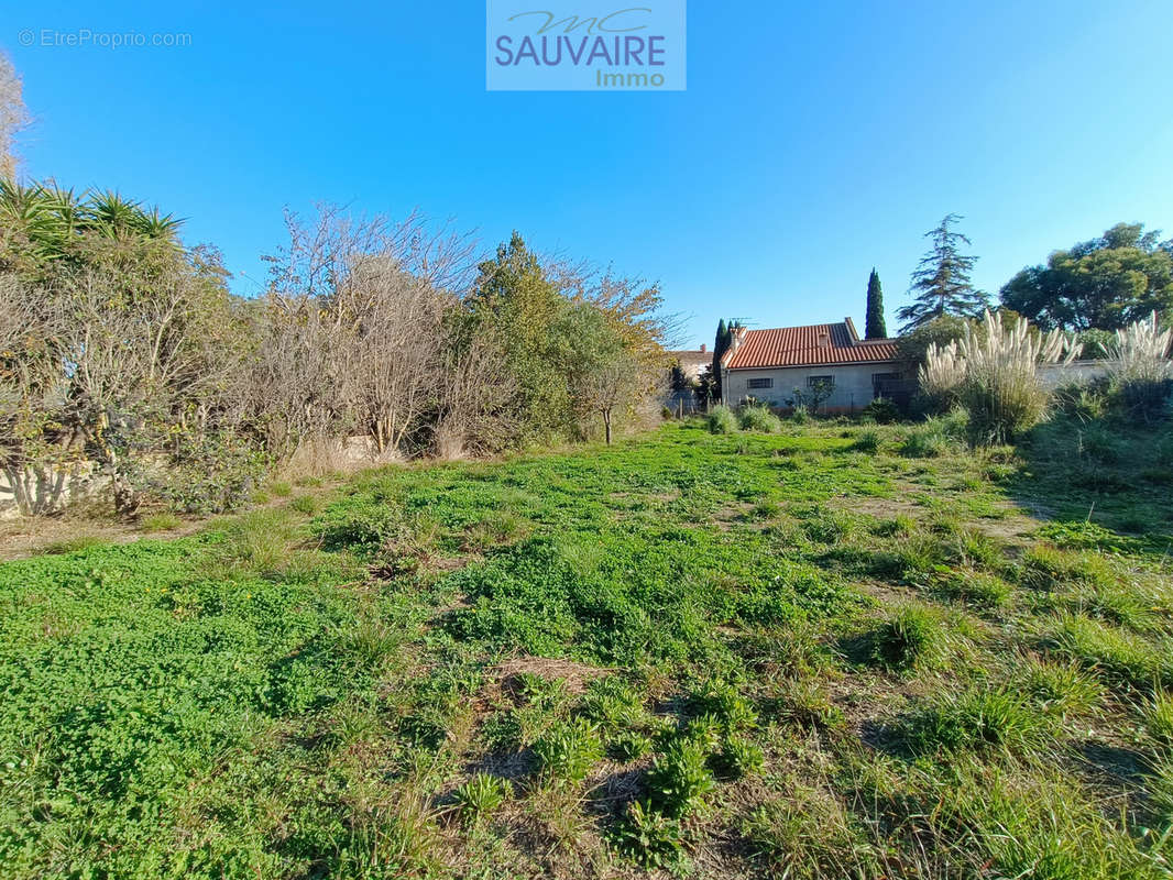 Terrain à SAINT-LAURENT-DE-LA-SALANQUE