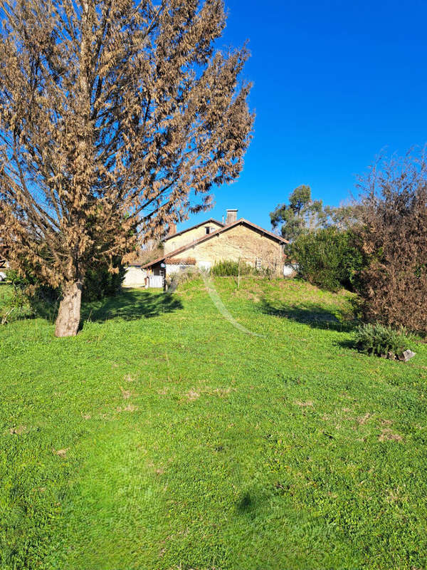 Maison à VILLENEUVE-DE-MARSAN