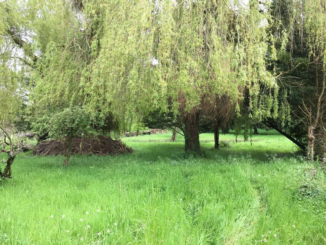 Terrain à NUILLE-LE-JALAIS